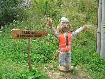 2013 41. NS Bobrovník CC Šumperk