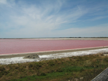 2010 dovolená Francie, Itálie, Rakousko