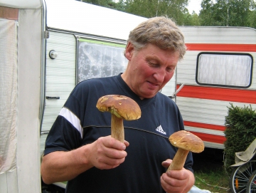 2007 houby podzim