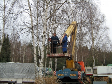 2009 kácení bříz v ATC