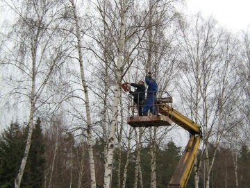 2009 kácení bříz v ATC