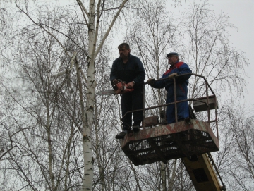 2009 kácení bříz v ATC