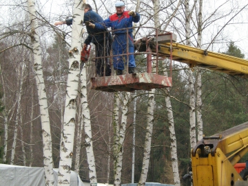 2009 kácení bříz v ATC