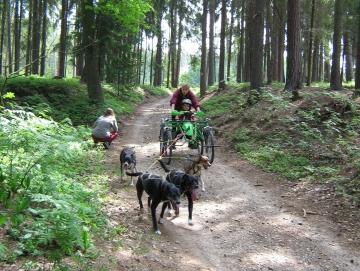 2009 kola v přírodě