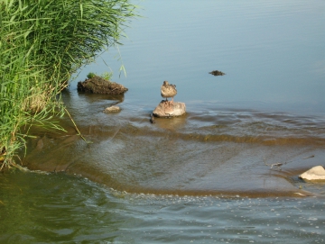 2013 Máchovo jezero, Hamr, Příšovice se Štusákovými