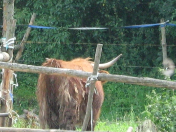 na kolách na ranč 2009