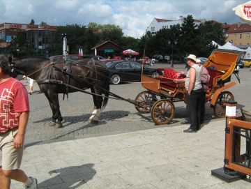 2012 v Polsku s Junovými