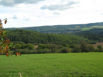 2012 vinobraní na Karlštejně