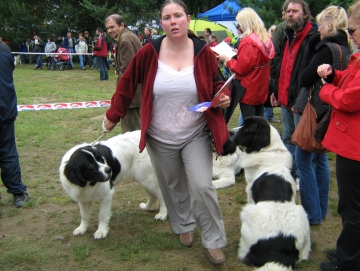 2009 výstava psů Stříbrňák