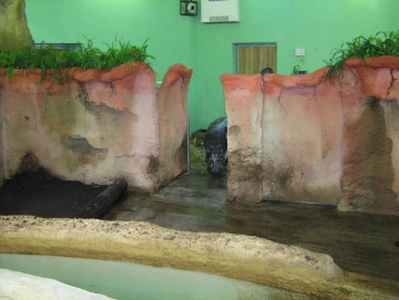 2010 Zoo v Plzni