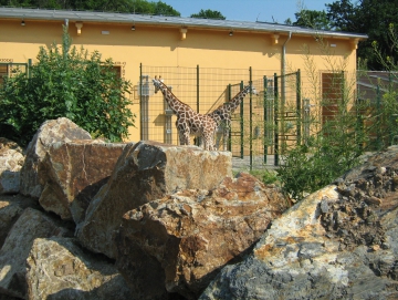 2010 Zoo v Plzni