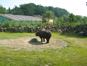 2010 Zoo v Plzni