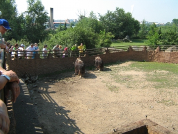 2010 Zoo v Plzni