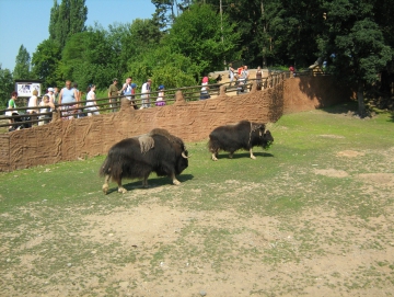 2010 Zoo v Plzni