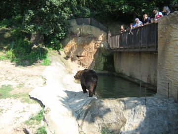 2010 Zoo v Plzni