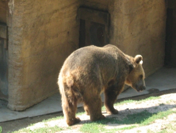 2010 Zoo v Plzni
