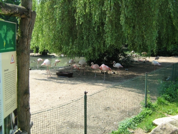 2010 Zoo v Plzni