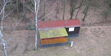 2009 kácení bříz v ATC